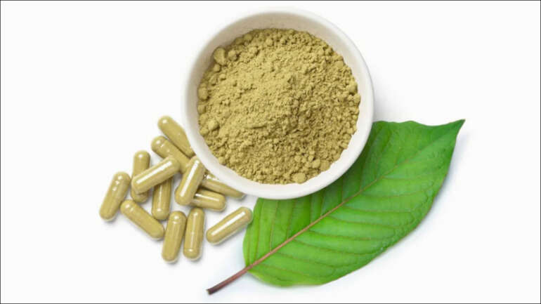 Kratom Knowledge: Essential Advice to Remain Counterfeit Free