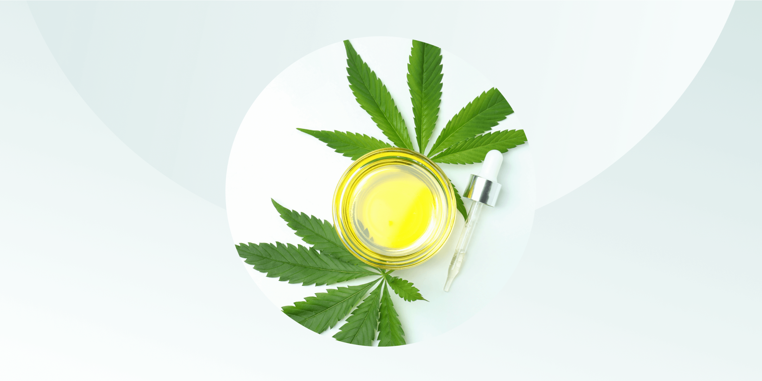 Cannabis Dispensary SEO
