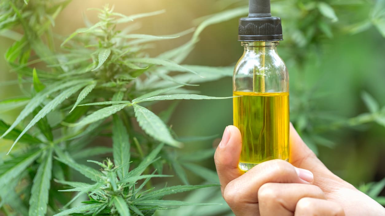 Maximize Cannabis Dispensary Visibility Using Advanced Search Optimization Techniques